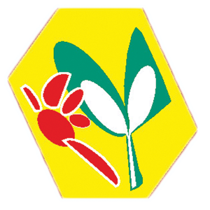 Logo Brissi